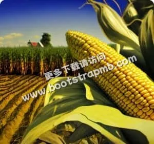 專注體育，點燃熱情 - 爱奇艺体育