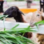探索体育的魅力 - 爱奇艺体育